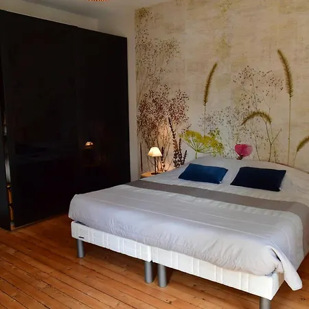 Les Sternes De St Mathurin Sur Loire , Terrasse Sur La Loire *