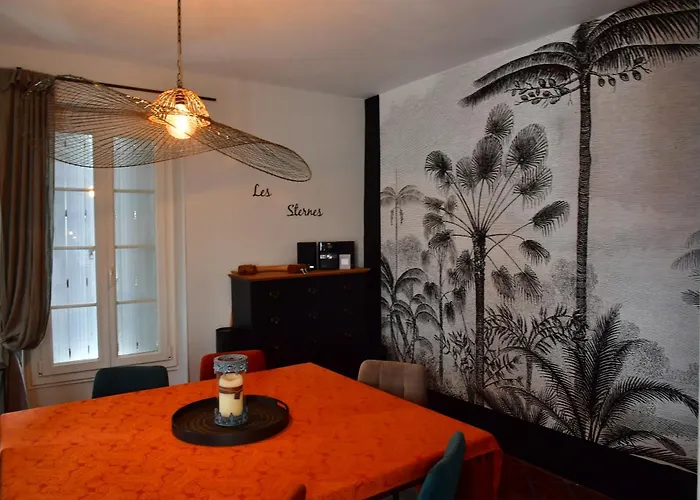 Les Sternes De St Mathurin Sur Loire , Terrasse Sur La Loire *